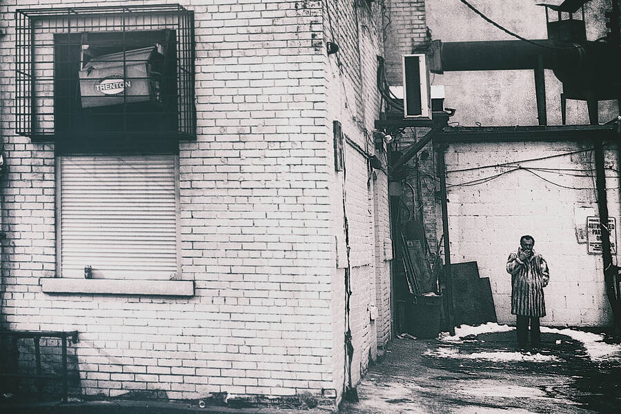 photographer Aardvark street  photo