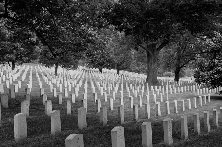 photographer Mark Hampton Photography uncategorized  photo