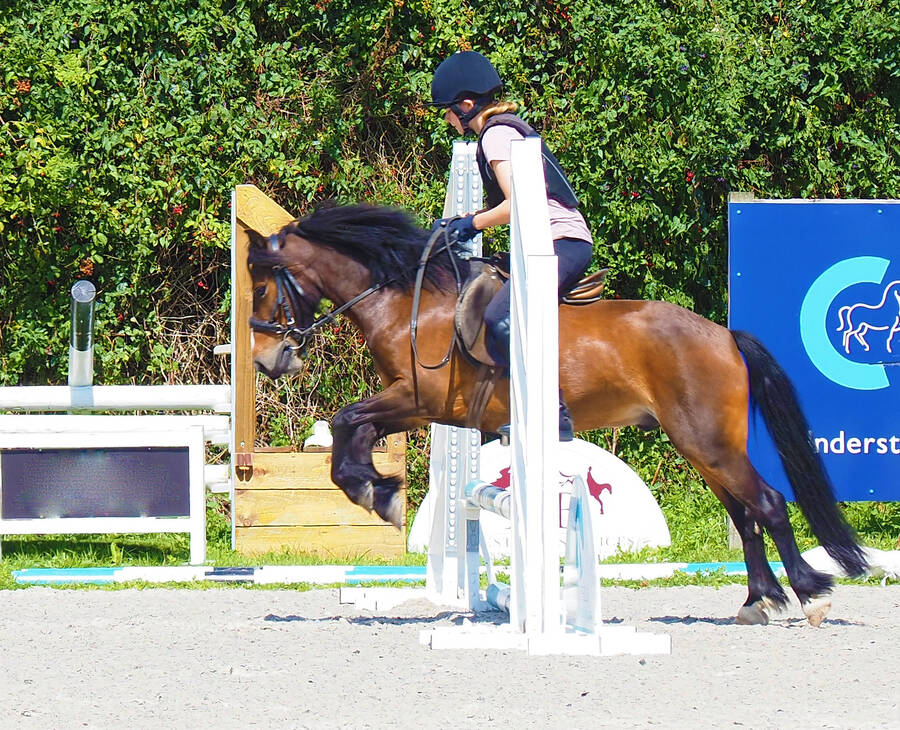 photographer Rosewood  Pix portraiture  photo