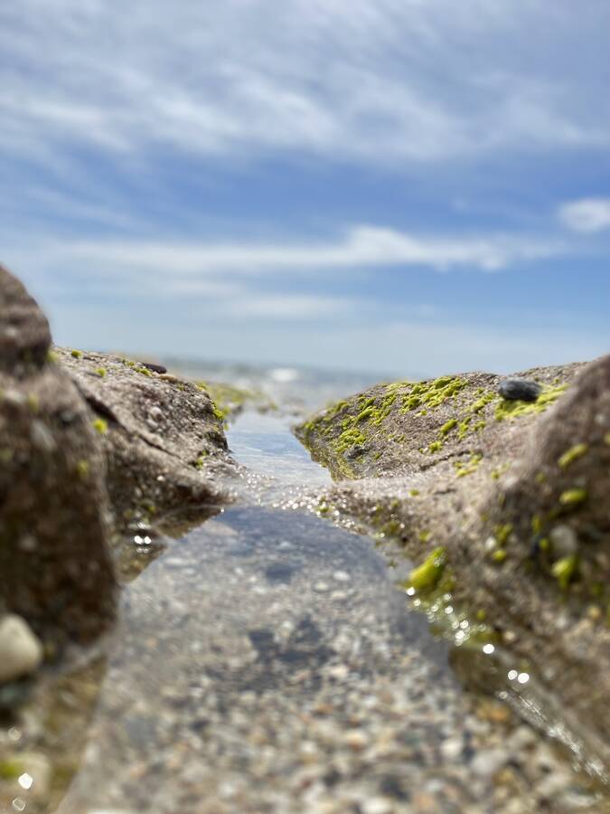 photographer  landscape  photo