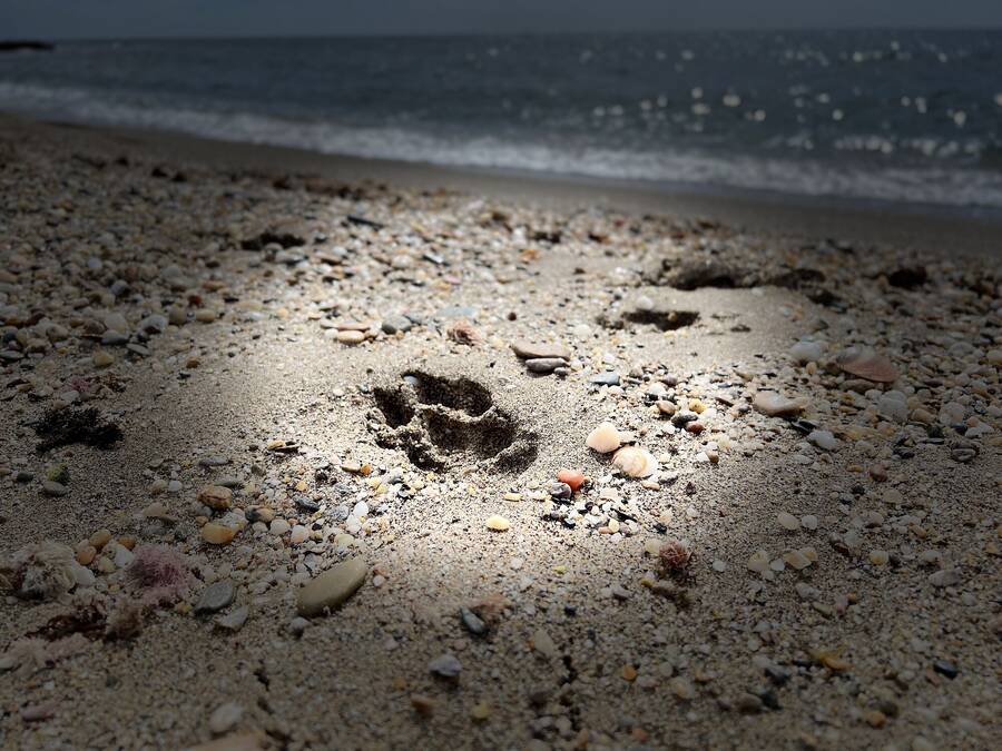 photographer  landscape  photo