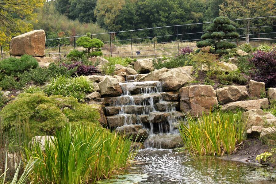 photographer Vertor landscape  photo taken at RHS Bridgewater, Manchester