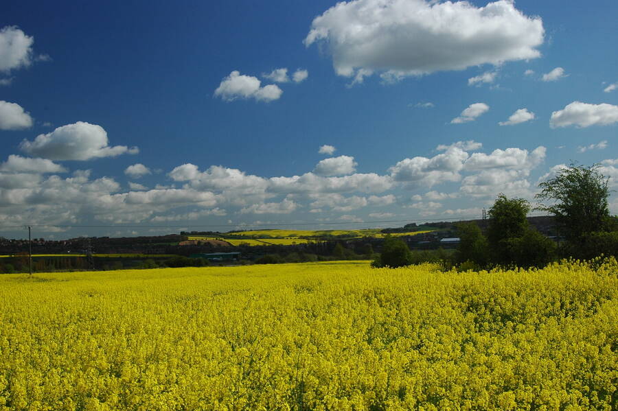 digital artist Rapier69 landscape  photo taken at Pinfold, Cudworth