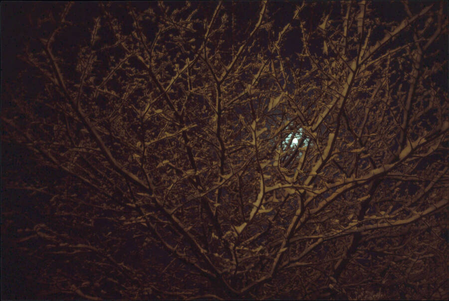 digital artist Rapier69 landscape  photo taken by @Rapier69