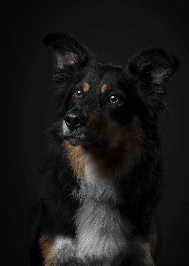 photographer The Opportunist portraiture  photo