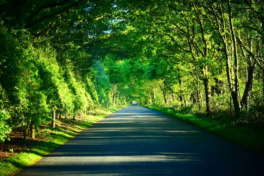 photographer WPNPHOTOIMAGES landscape  photo