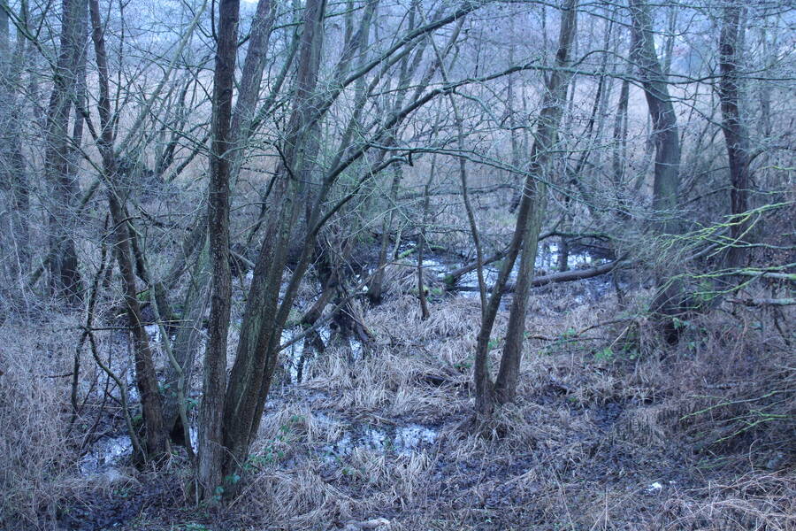 photographer Brandenburger uncategorized  photo