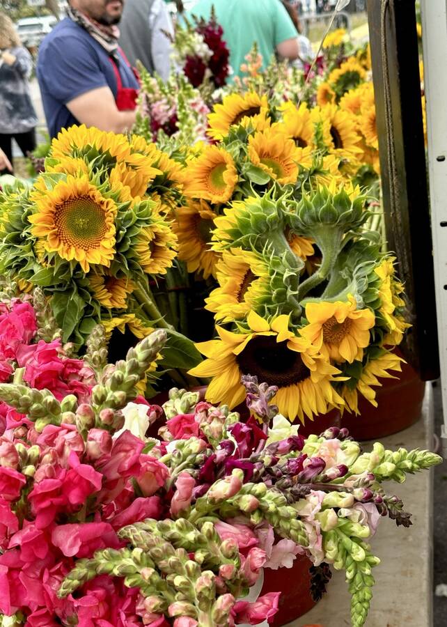 photographer Pesto street  photo