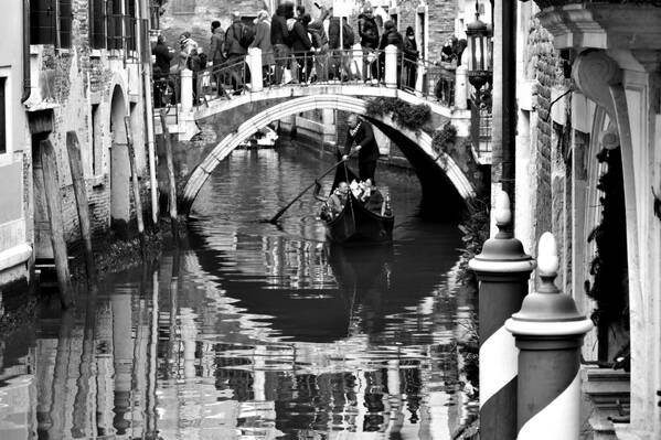 photographer Bitten by the Bug travel  photo taken at Venice, Italy