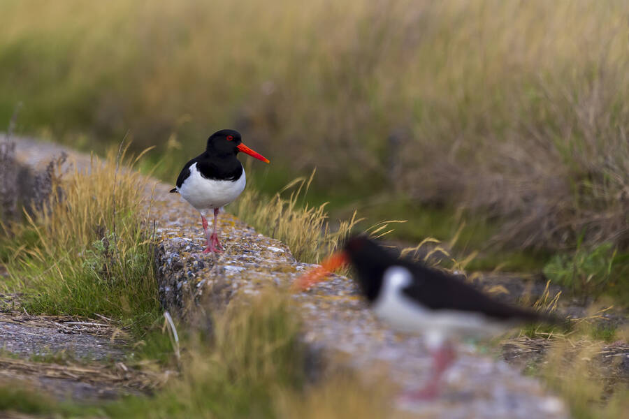 photographer Fotowerkstatt uncategorized  photo