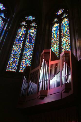 photographer Bitten by the Bug travel  photo