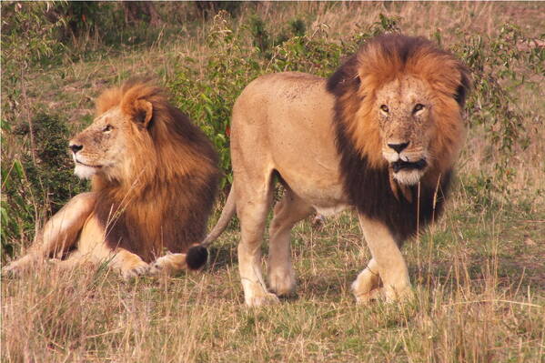 photographer Bitten by the Bug wildlife  photo