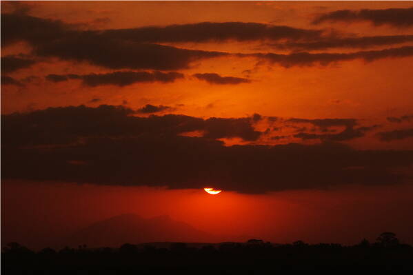 photographer Bitten by the Bug travel  photo