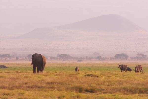 photographer Bitten by the Bug travel  photo