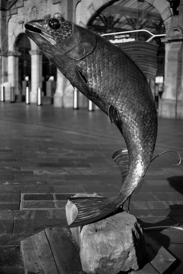 photographer Martin330 street  photo taken at sheffield