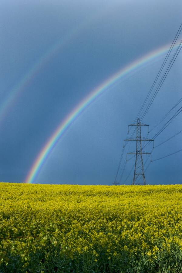 photographer The Opportunist uncategorized  photo