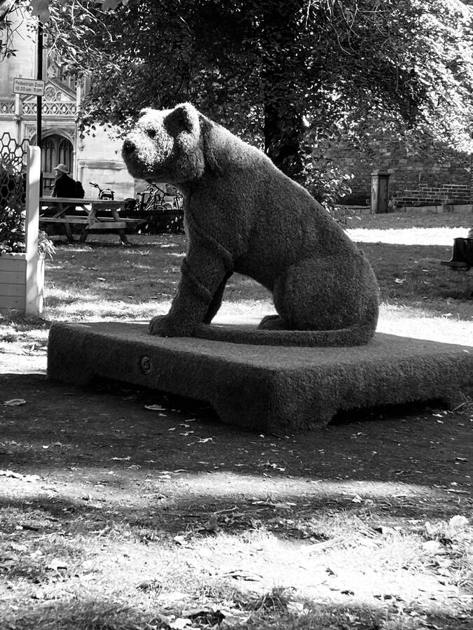 photographer Martin330 still life  photo