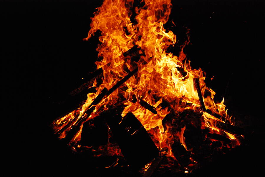 photographer Certified Maidiac uncategorized  photo