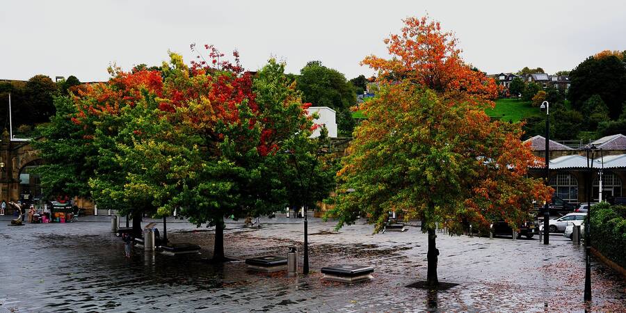 photographer Martin330 documentary  photo