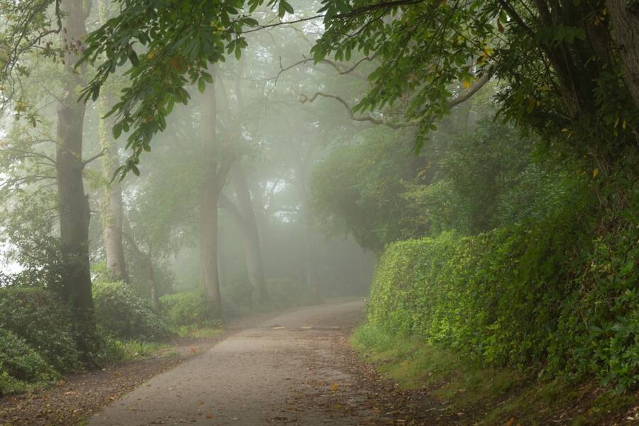 photographer Mark landscape  photo