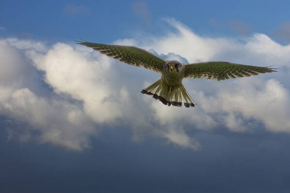 photographer The Opportunist uncategorized modelling photo