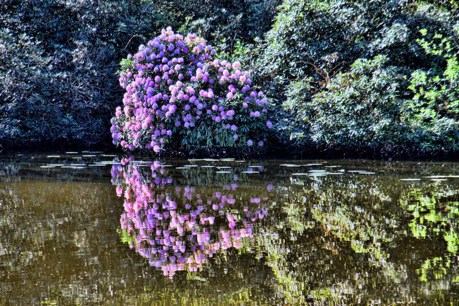 photographer WPNPHOTOIMAGES uncategorized  photo