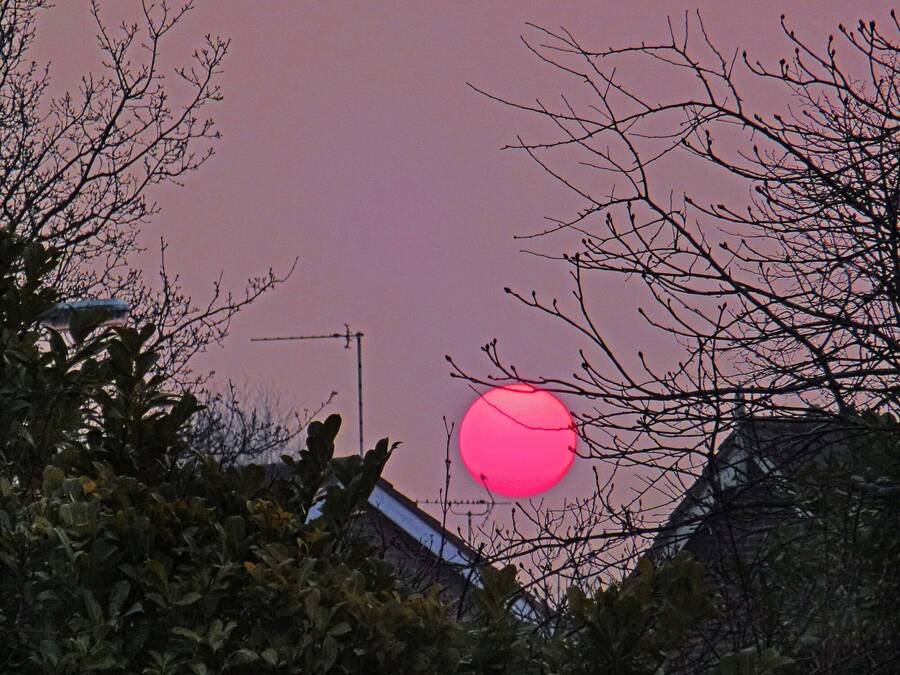 photographer WPNPHOTOIMAGES uncategorized  photo