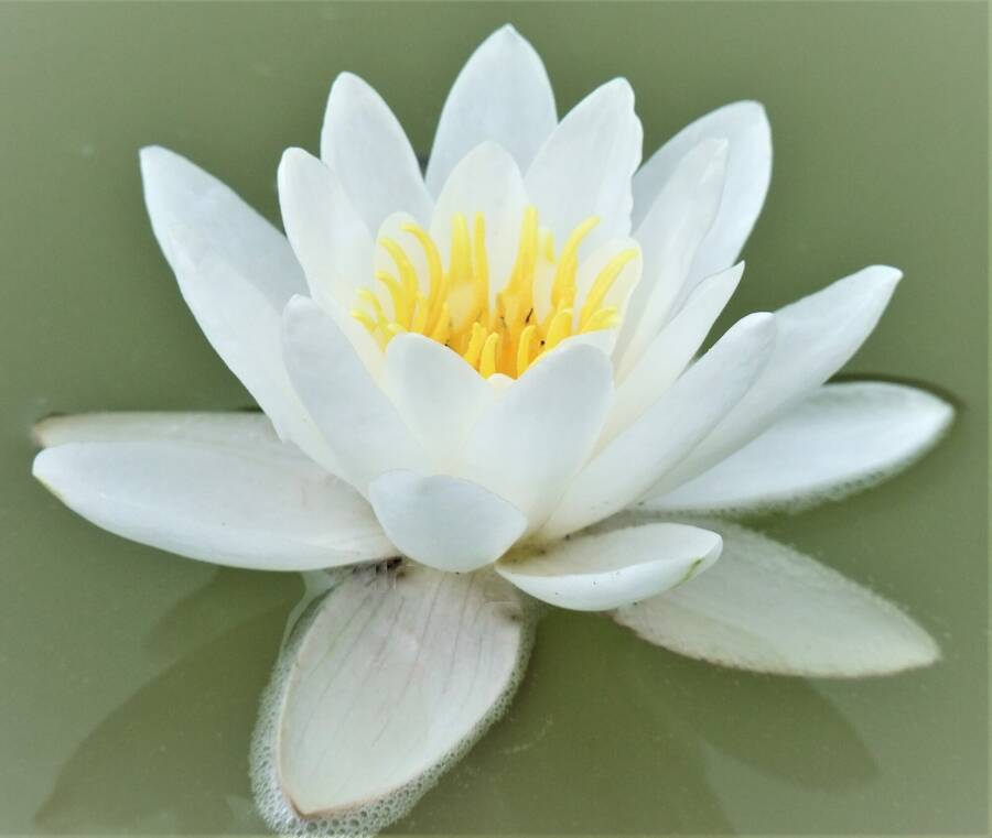 photographer BONDVIDAGE still life  photo taken at Port Sunlight