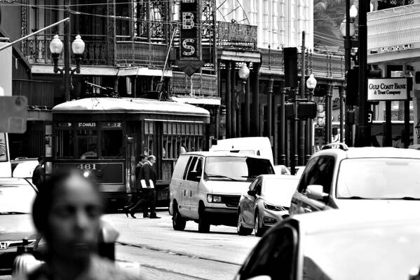 photographer Bitten by the Bug travel  photo