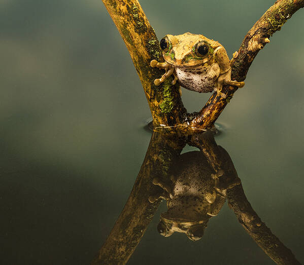 photographer GMac wildlife  photo