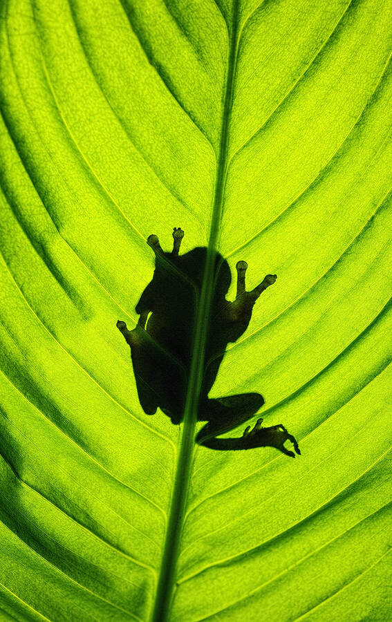 photographer GMac wildlife  photo