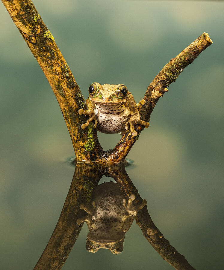 photographer GMac wildlife  photo