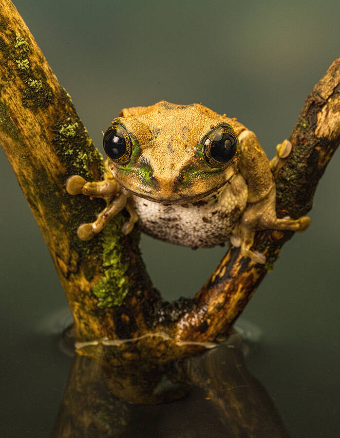 photographer GMac wildlife  photo