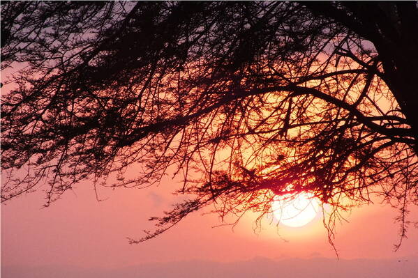 photographer Bitten by the Bug travel  photo