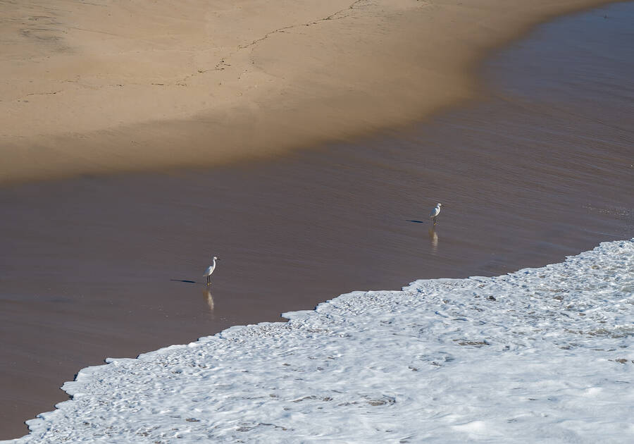 photographer Available Light Photography wildlife  photo