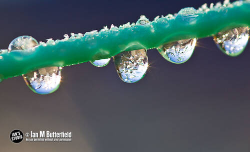 photographer ianbutty macro modelling photo taken at Stockport