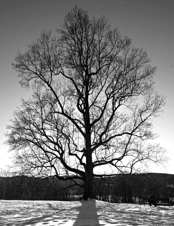 photographer Man With a Camera landscape  photo taken at Dutchess County New York