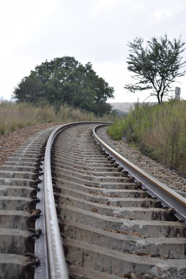 photographer Dream uncategorized  photo