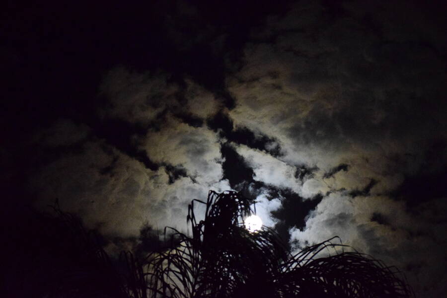 photographer Dream uncategorized  photo