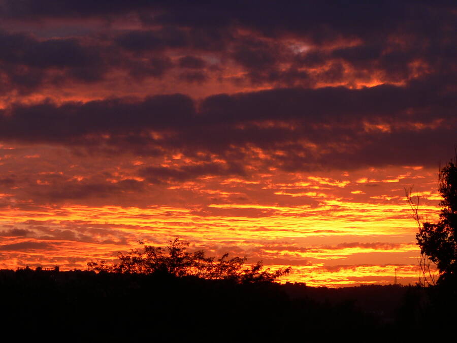 photographer Dream uncategorized  photo