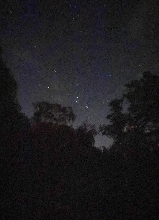 photographer dgregdenton uncategorized  photo