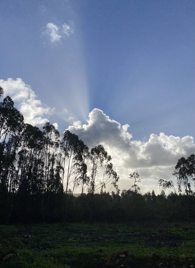 photographer dgregdenton landscape  photo