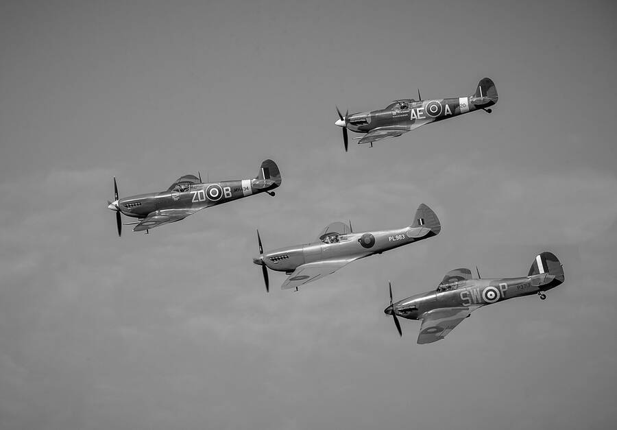 photographer JFC Images uncategorized  photo