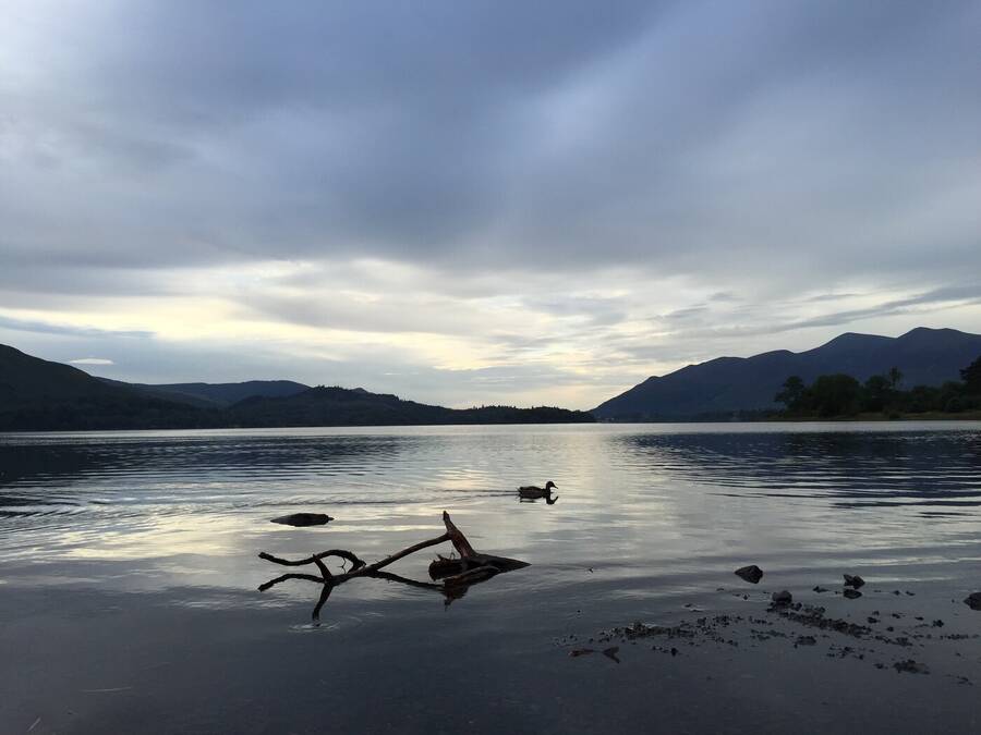 photographer Gingersnap uncategorized  photo