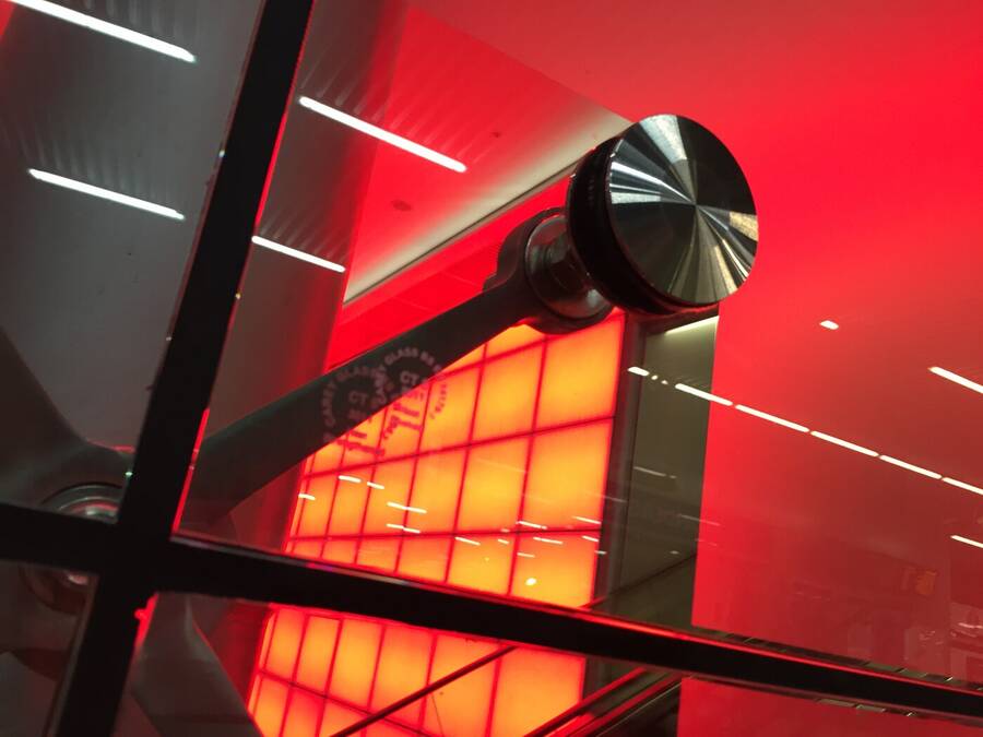 photographer Gingersnap uncategorized  photo