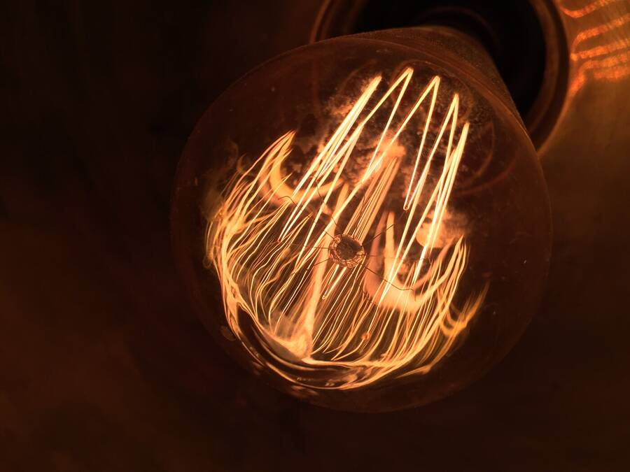 photographer Gingersnap uncategorized  photo