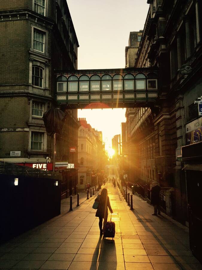 photographer Gingersnap uncategorized  photo