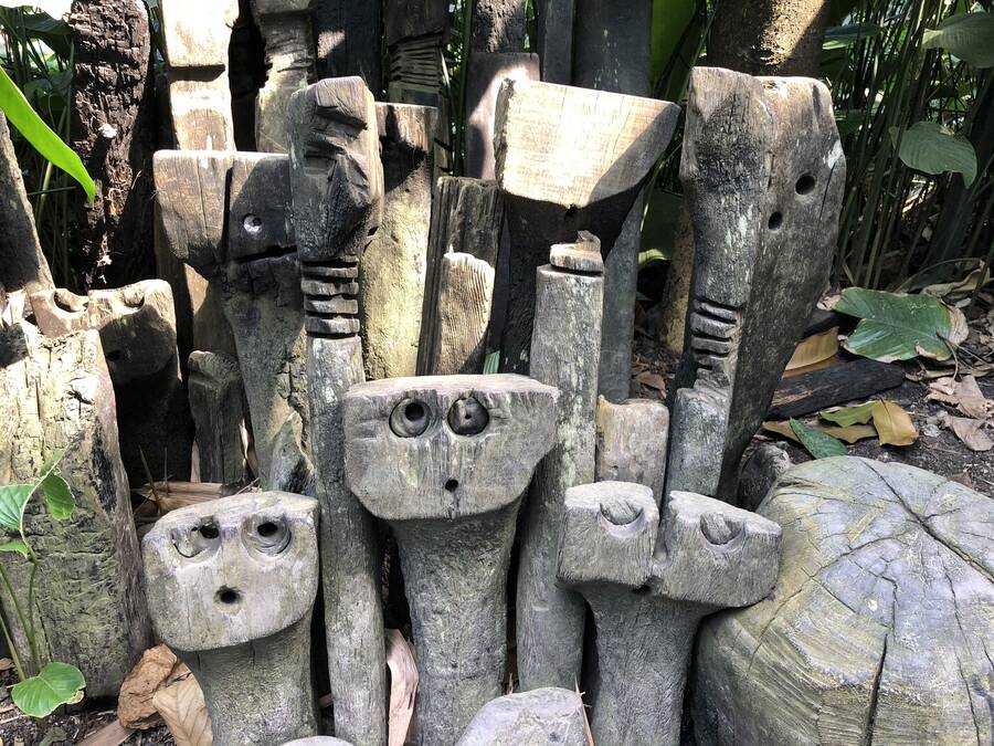 photographer Gingersnap uncategorized  photo