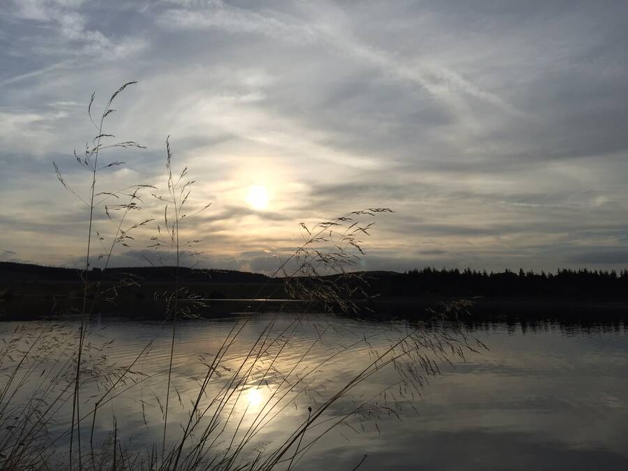 photographer Gingersnap uncategorized  photo