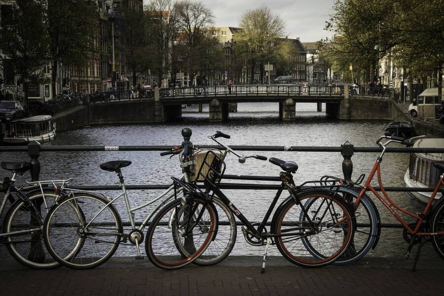 photographer RedZebra uncategorized  photo